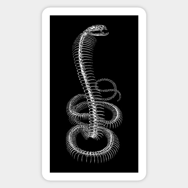 Snake Skeleton Sticker by tommartinart